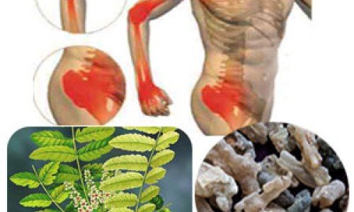 Билките помагат при болки в ставите