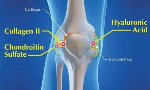 Колаген тип 2 за здрави стави и сухожилия