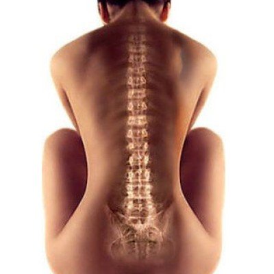 Гръбначен стълб – какъв е строежът му и как функционира той?