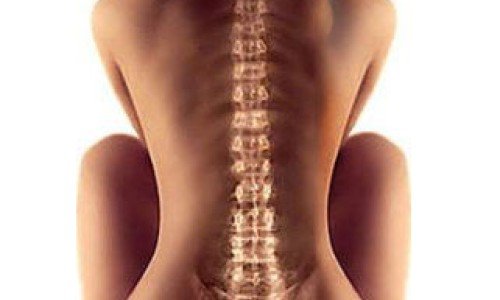 Гръбначен стълб – какъв е строежът му и как функционира той?