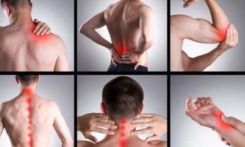 Целадрин – вълшебната добавка за ставите – 1 част