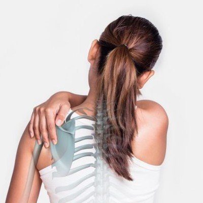 Функции на ставите в човешкия организъм