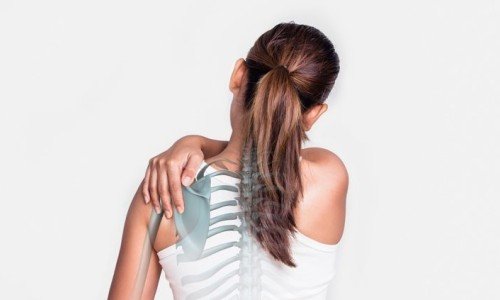 Функции на ставите в човешкия организъм