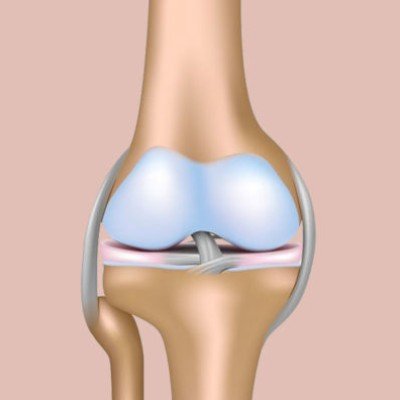 Каква е ролята на колаген в човешкия организъм?