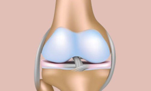Каква е ролята на колаген в човешкия организъм?