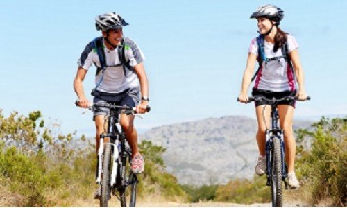 Карането на колело – нож с две остриета за ставите