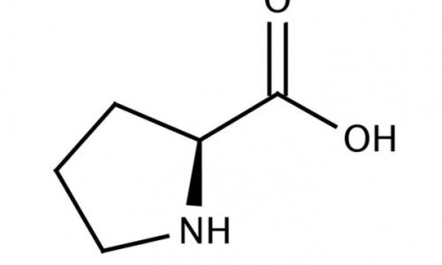 Пролин: полза за целия организъм, полза за ставите!