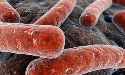 Туберкулоза на костите – механизъм на развитие, признаци, методи за лечение