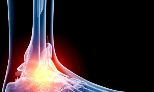 Глезен – анатомия на ставата